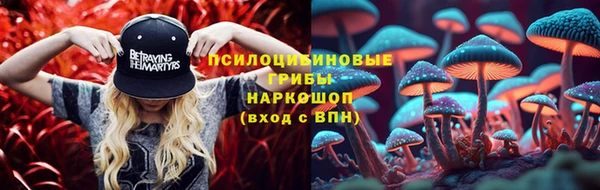 гидра Абинск