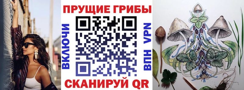 даркнет сайт  Бобров  Галлюциногенные грибы Magic Shrooms 